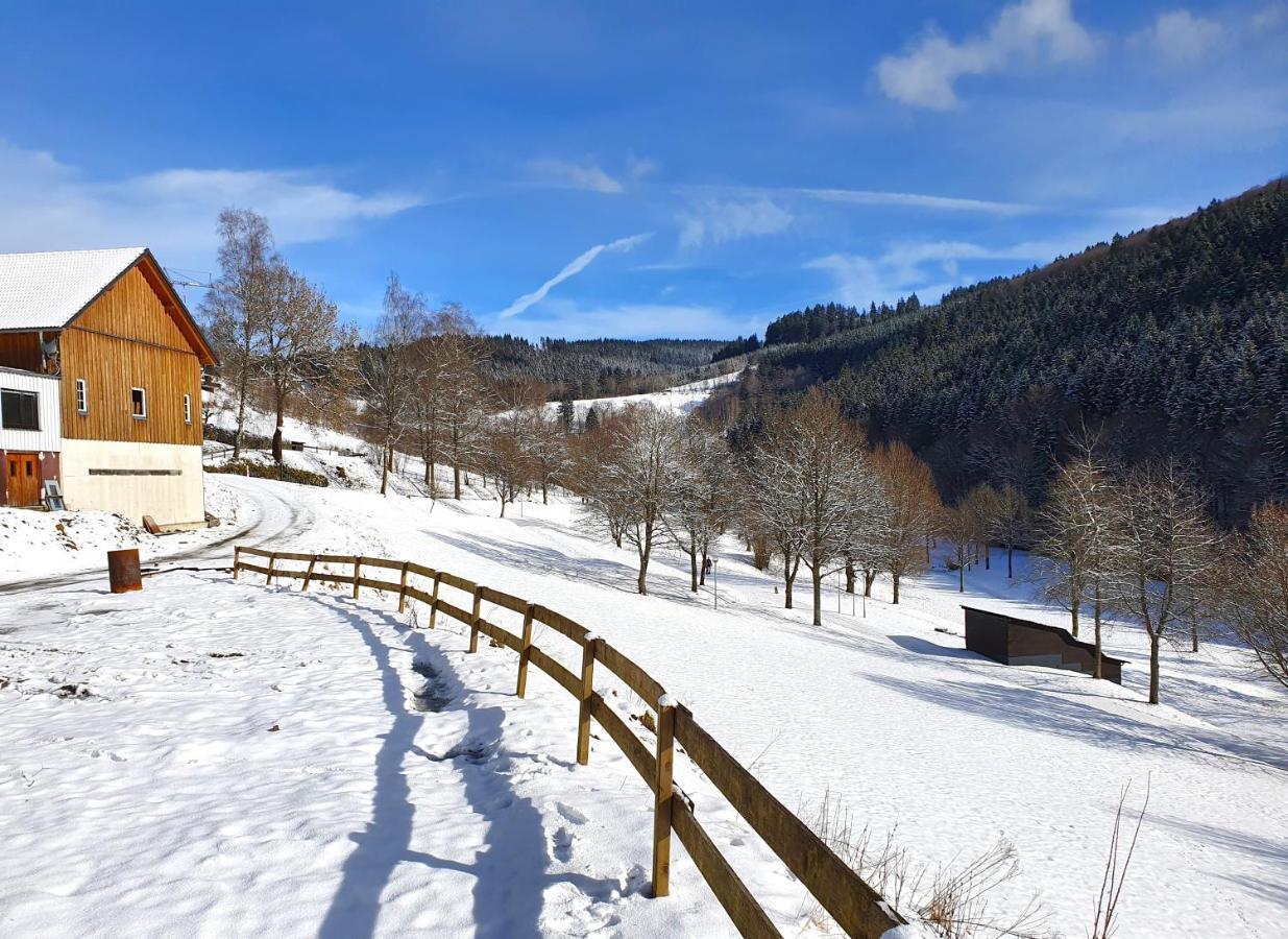 Ferienhaus Grimme - 350M2, 18 Betten - Mit Indoorspielplatz, Pool, Grosser Terrasse, Grill, Sauna, Kicker, Dart, Uvm - Ideal Fuer Familien Schmallenberg Bagian luar foto