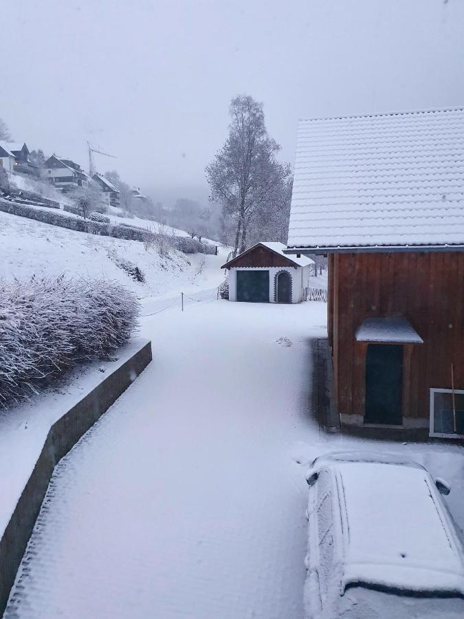 Ferienhaus Grimme - 350M2, 18 Betten - Mit Indoorspielplatz, Pool, Grosser Terrasse, Grill, Sauna, Kicker, Dart, Uvm - Ideal Fuer Familien Schmallenberg Bagian luar foto