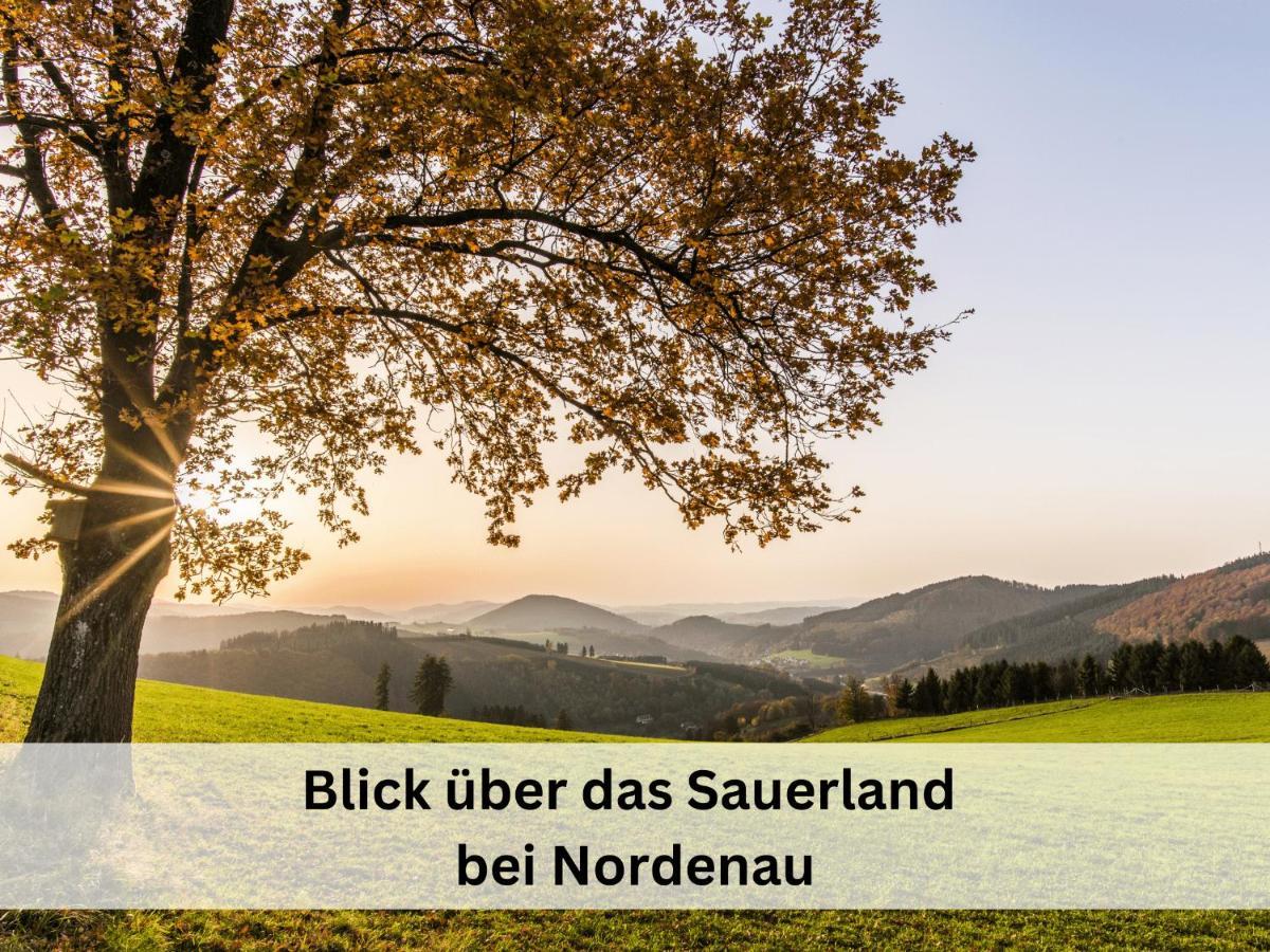 Ferienhaus Grimme - 350M2, 18 Betten - Mit Indoorspielplatz, Pool, Grosser Terrasse, Grill, Sauna, Kicker, Dart, Uvm - Ideal Fuer Familien Schmallenberg Bagian luar foto
